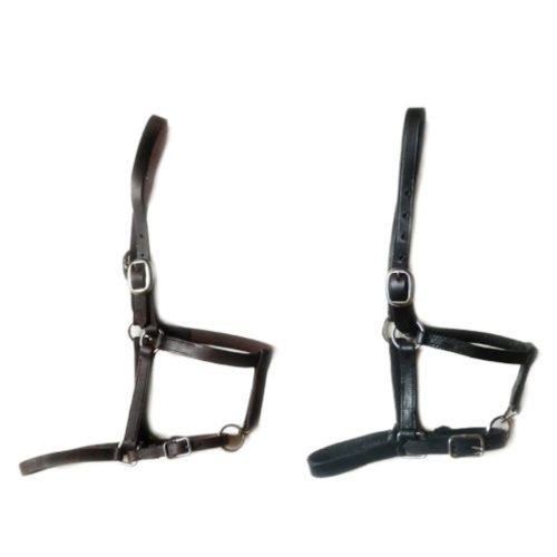 Handgenähtes Fohlenhalfter Leder, doppelt verstellbar, Farben: schwarz & braun, freigestellt