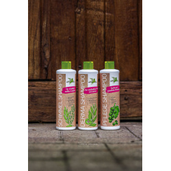 drei verschiedene Shampoos, Pflege-Shampoo, Derma- Shampoo und Schimmel-Shampoo