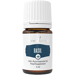 Ätherisches Öl Basilikum Plus von Young Living, Braunglasflasche mit Etikett, freigestellt vor weißem Hintergrund