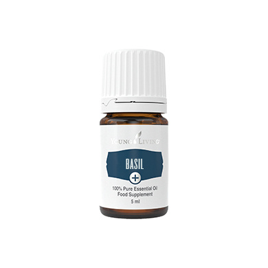 Ätherisches Öl Basilikum Plus von Young Living, Braunglasflasche mit Etikett, freigestellt vor weißem Hintergrund