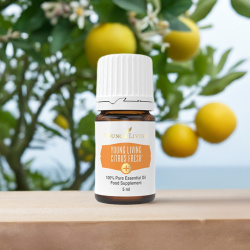 Ätherisches Öl Citrus Fresh  Plus 100 % naturrein in Braunglasflasche mit Tropfer, Naturaufnahme mit Zitrusbäumen im Früchten
