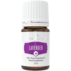 Ätherisches Öl Lavendel Plus von Young Living, Produktflasche mit Etikett, freigestellt vor weissem Hintergrund