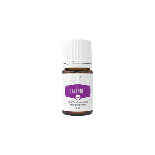 Ätherisches Öl Lavendel Plus von Young Living, Produktflasche mit Etikett, freigestellt vor weissem Hintergrund