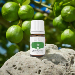 Ätherisches Öl Limette Plus von Young Living, 100 % naturrein in Braunglasflasche mit Tropfer, auf Stein mit Limetten