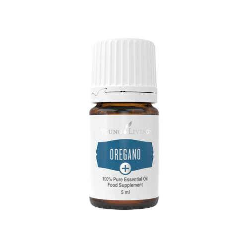 Ätherisches Öl Oregano Plus von Young Living, freigestellt vor weissem Hintergrund