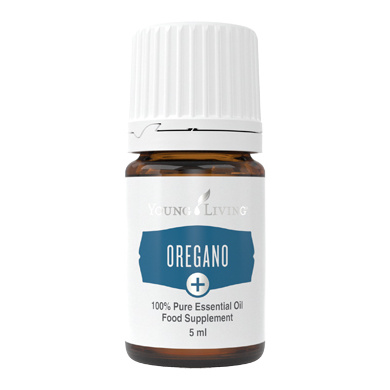 Ätherisches Öl Oregano Plus von Young Living, freigestellt vor weissem Hintergrund