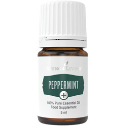 Ätherisches Öl Pfefferminze Plus von Young Living, freigestellt vor weissem Hintergrund