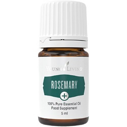 Ätherisches Öl Rosmarin Plus von Young Living, freigestellt vor weissem Hintergrund