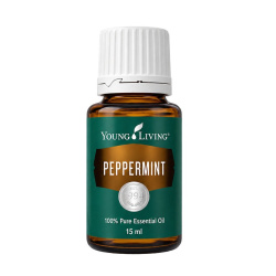Ätherisches Öl Pfefferminze von Young Living, freigestellt vor weissem Hintergrund